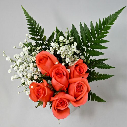 Valentine's Day Rose Bouquets 6-Stem