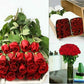 Tinted Green Roses - Bulk