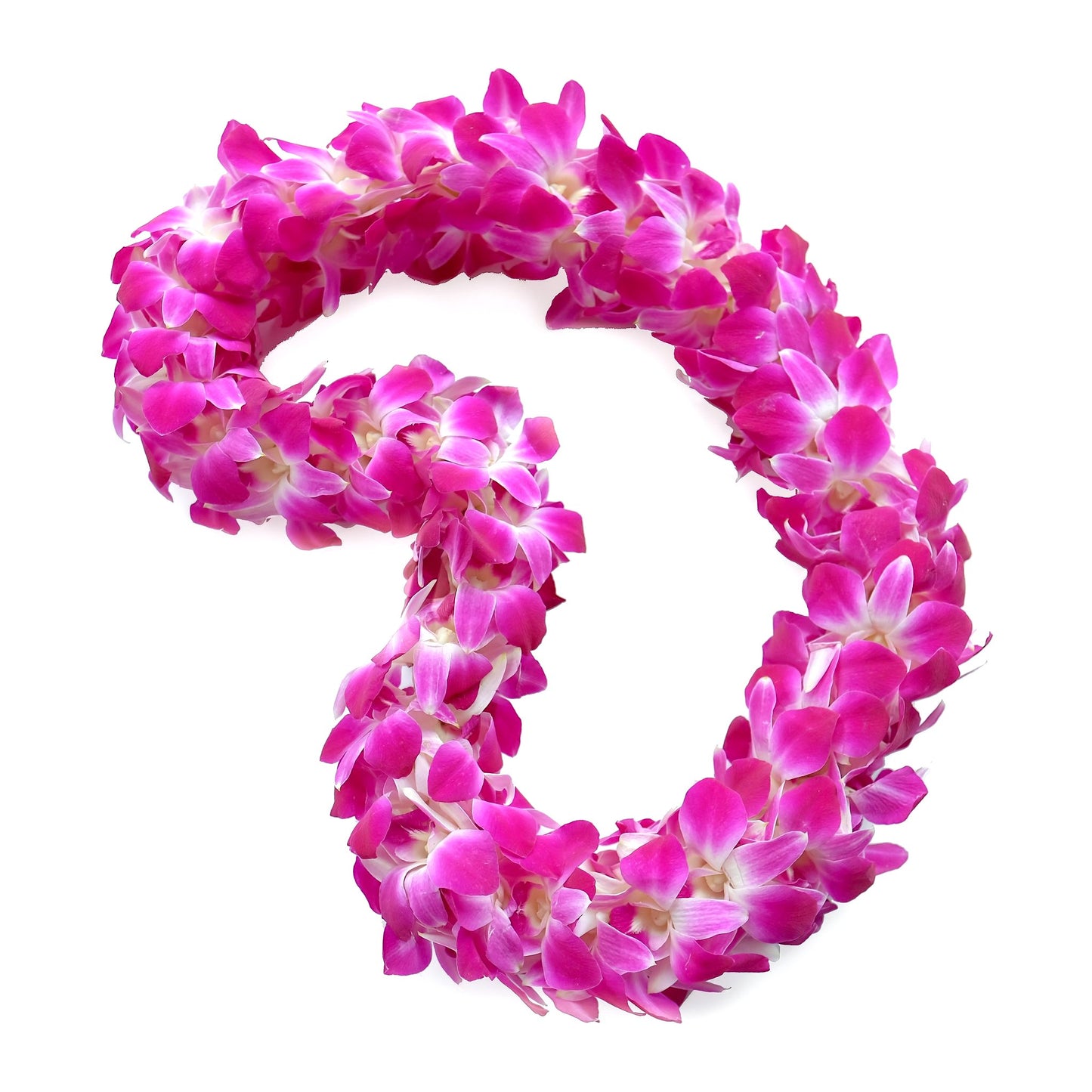 Graduation Lei - Double Strand Orchid