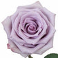 Mother's Day Rose Bouquets 1-Stem