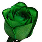 Tinted Green Roses - Bulk