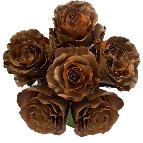 Macchiato Brown Painted Roses - Bulk