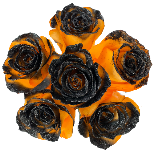 Orange Rose Bouquet With Black Glitter