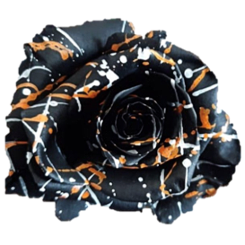 Trick or Treat Painted Rose Bouquets