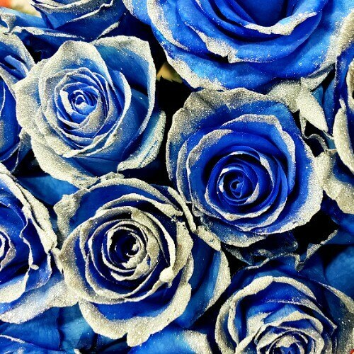 White Roses Tinted Blue with Silver Glitter