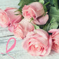 Wholesale Long Stem Pink Roses for Breast Cancer