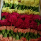 Wholesale Carnation Flower Heads