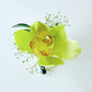 Orchid Boutonnieres