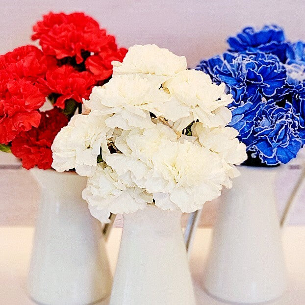 4th of July colored carnations