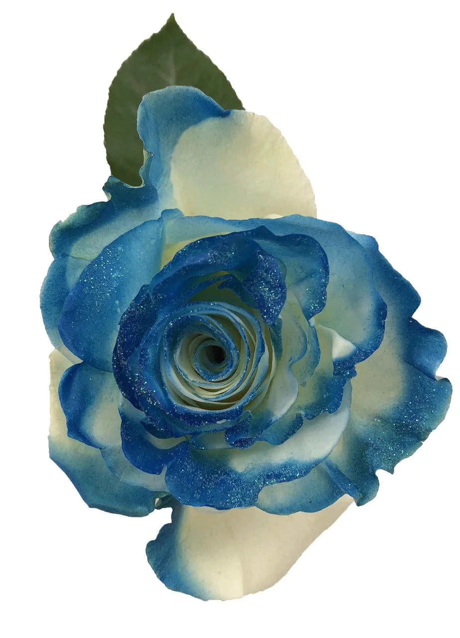 Light & Dark Blue Glitter Tinted Roses