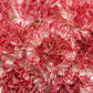 Valentine's Day Bulk Carnations