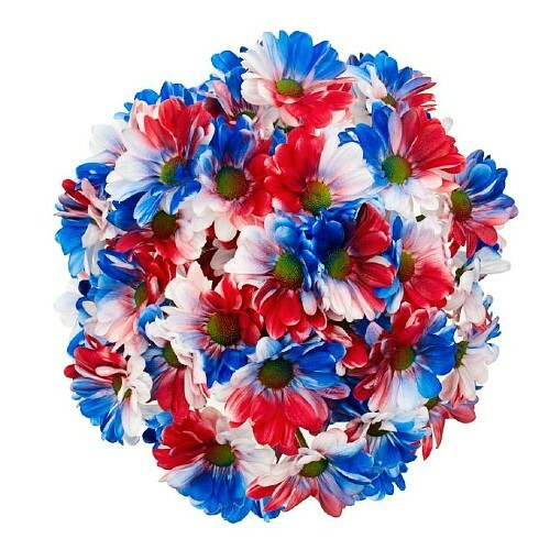 Red, White and Blue Rainbow Daisies