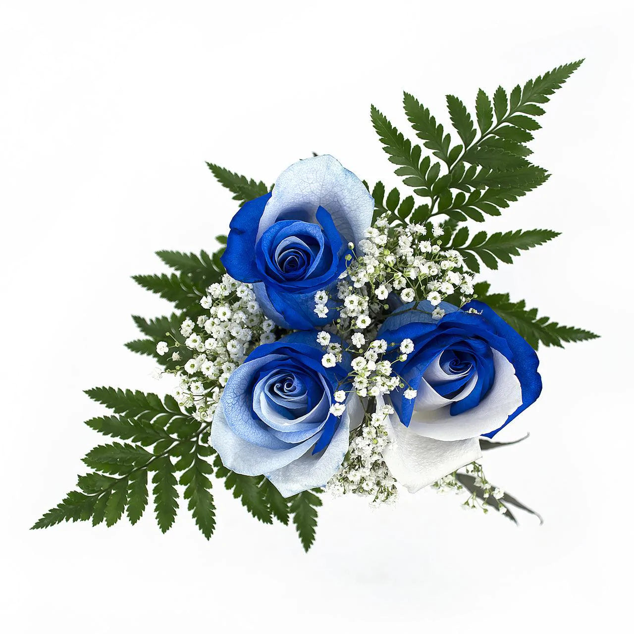 White and Blue Dyed Rose Bqts - 3-stem 16