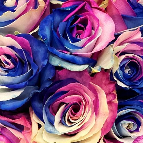 Blue, Pink and White Rainbow Rose Bouquets