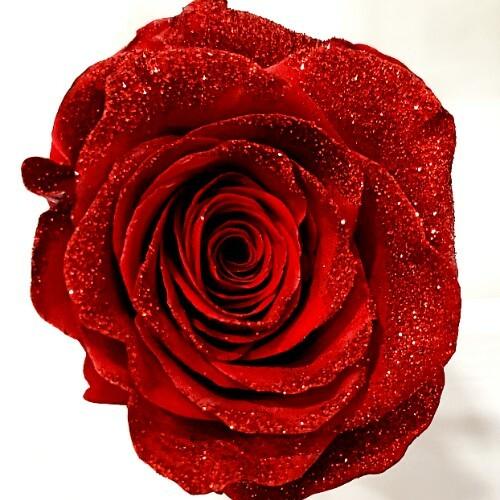 Red Rose with Clear Glitter