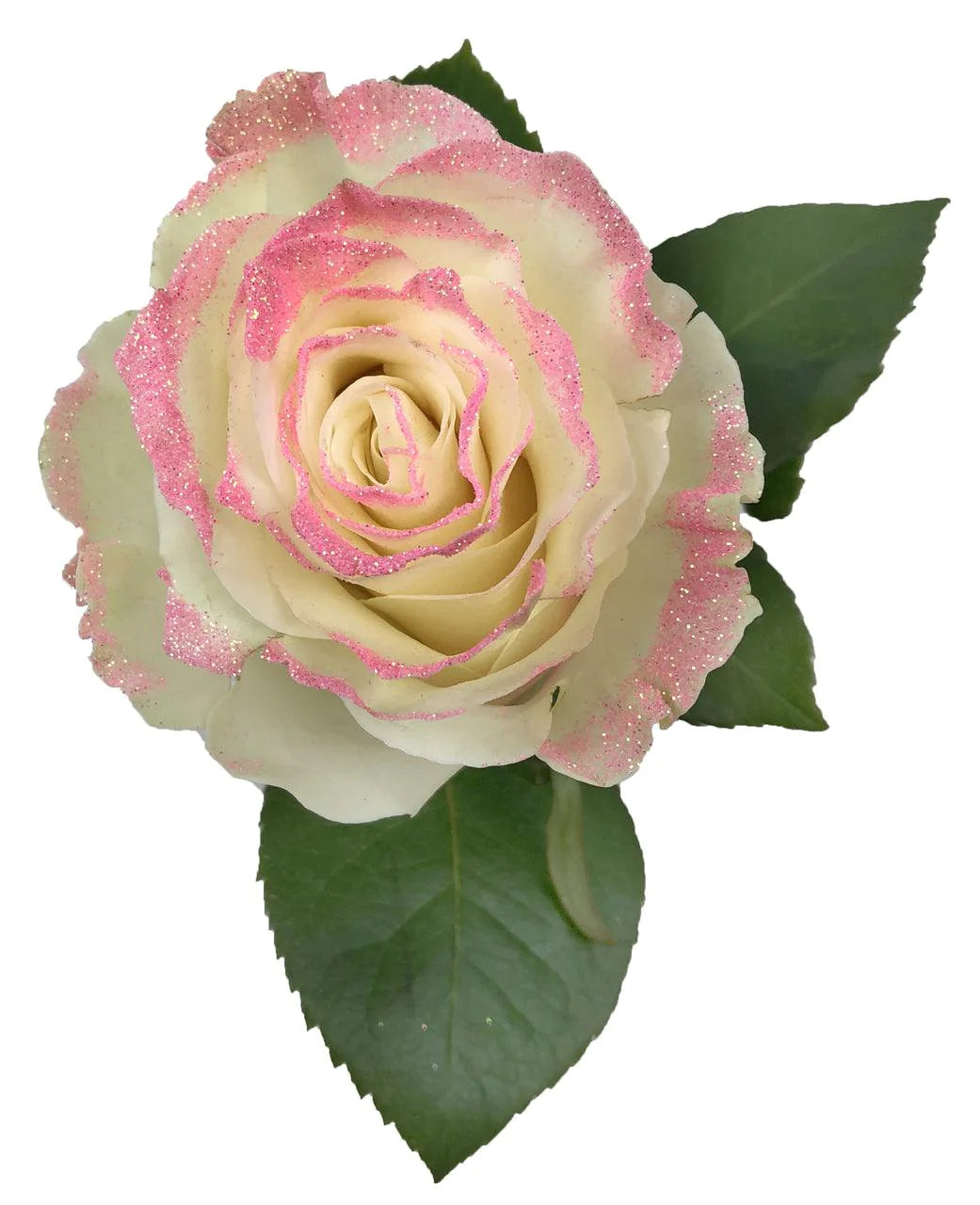 Light Pink Glitter Rose