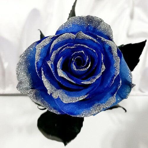 Blue Rose with Silver Glitter