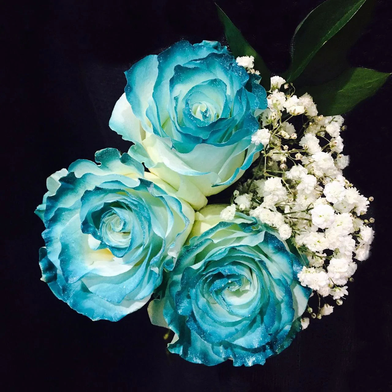 Painted Rose Bouquets (Your Color Choice) 3-Stem - 48LongStems.com