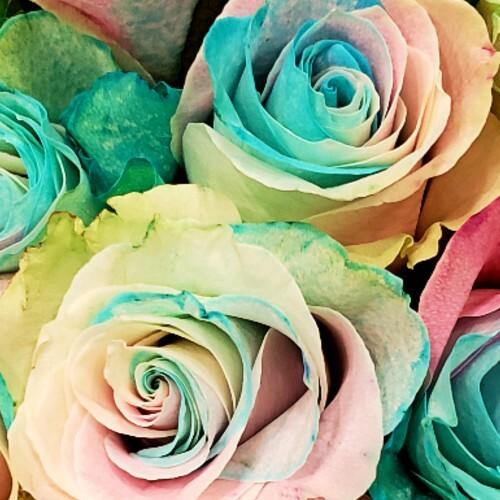 Light Pastel Rainbow Rose Bouquets