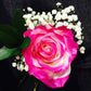 1 Stem Air Brushed Neon Hot Pink Rose Bouquet