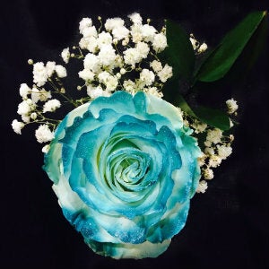 1 Stem Air Brushed Neon Aqua Rose Bouquet