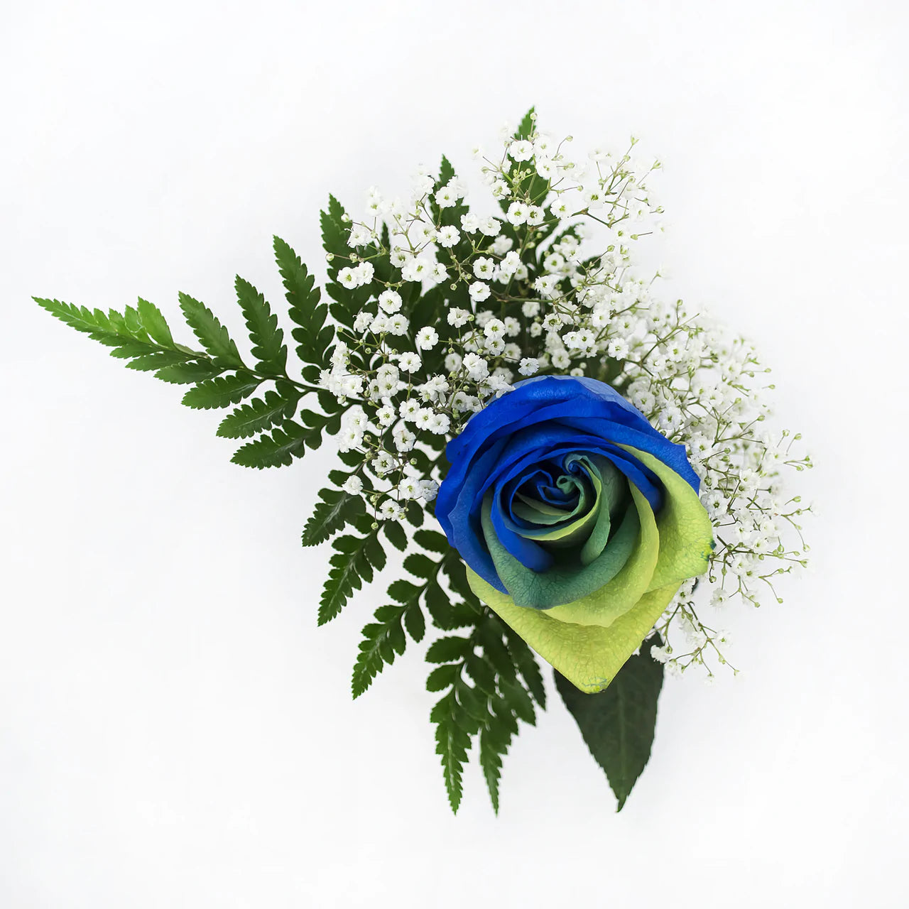 Yellow, Green and Blue dyed roses 1-stem - 60