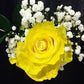 1 Stem Air Brushed Neon Yellow Rose Bouquet