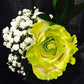 1 Stem Air Brushed Neon Lime Green Rose Bouquet