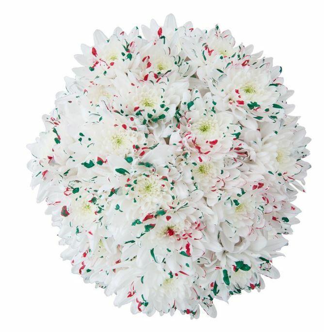 White Holiday Marshmallow Cupcake Mum Bouquets