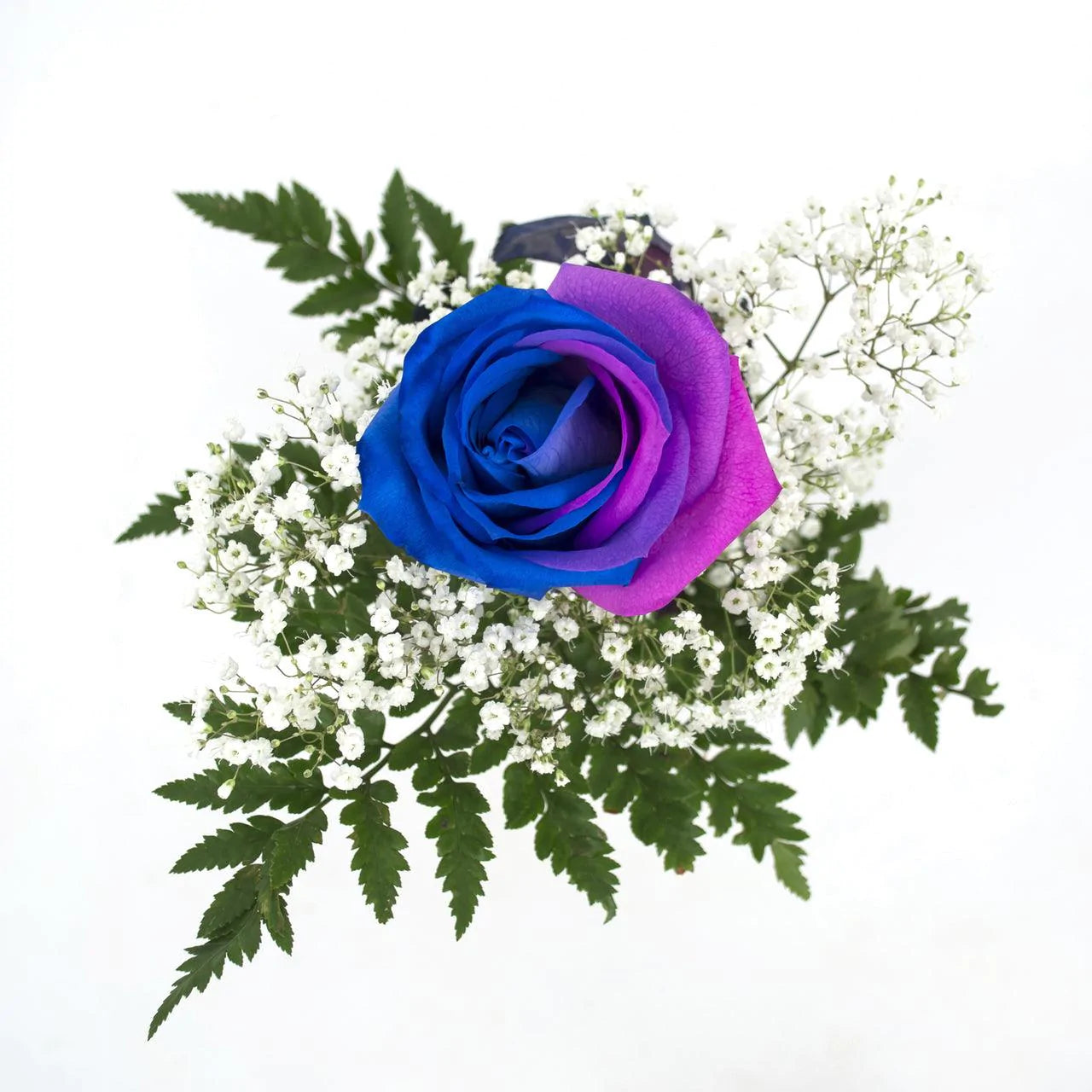 Pink and blue rose bouquet - 60 bqts