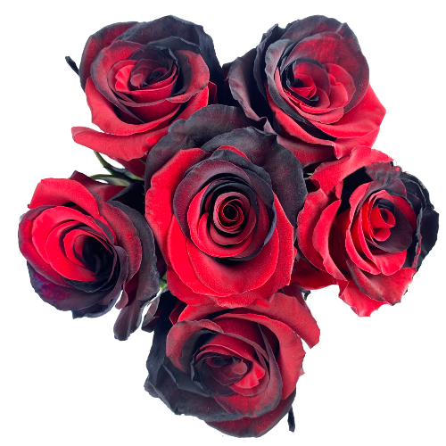 Black and Red Dyed Rose Bouquets