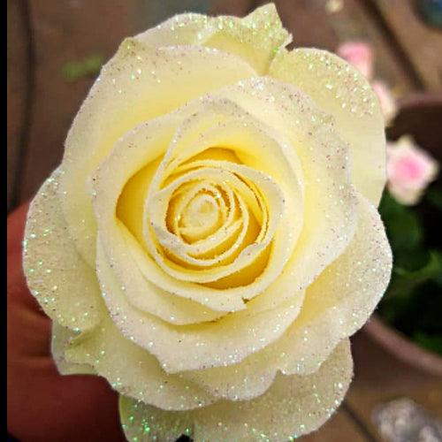 White Roses with Clear Glitter - Bulk