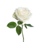 Lambda Chi - White Roses, 40cm